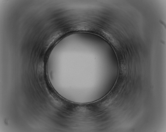 X0000092040534200709121155