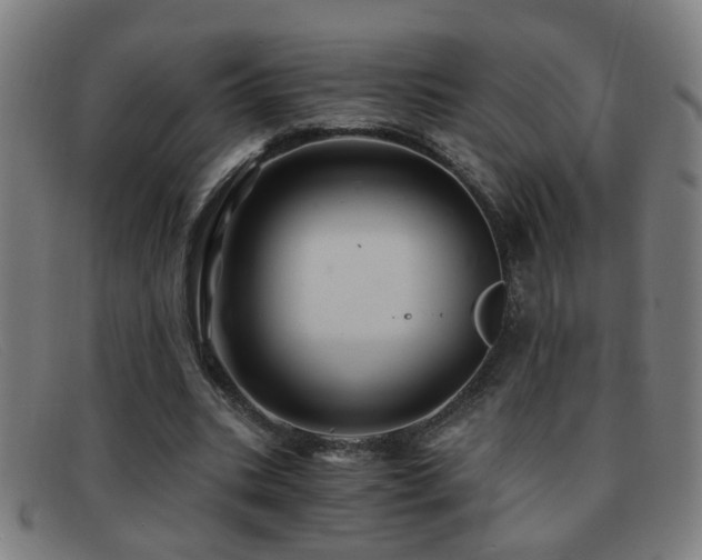 X0000092040535200709121155