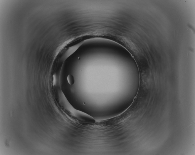 X0000092040536200709121155