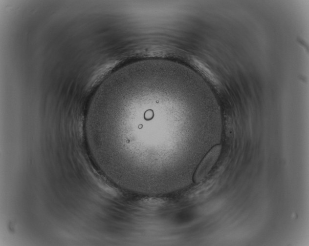 X0000092040537200709121155