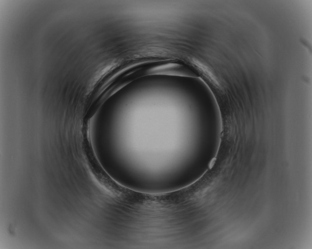 X0000092040538200709121155