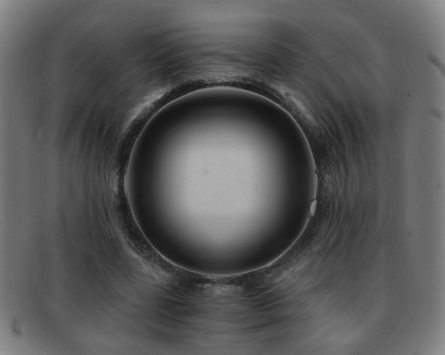 X0000092040539200709121155