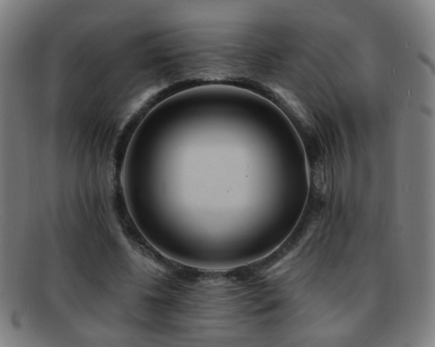 X0000092040540200709121155