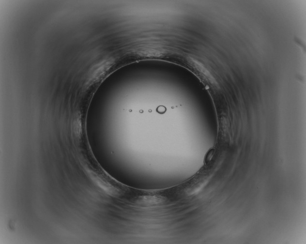 X0000092040541200709121155