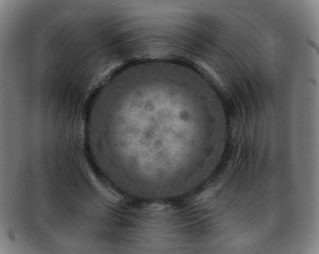 X0000092040542200709121155