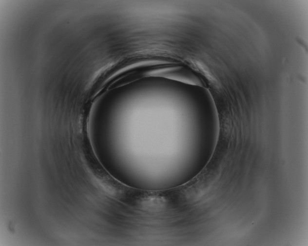 X0000092040543200709121155