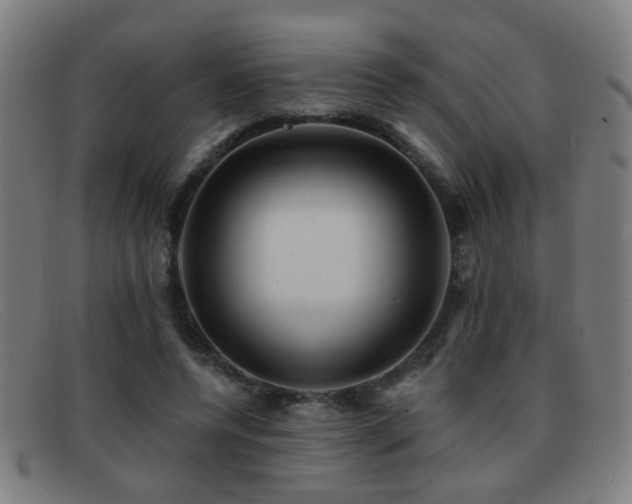 X0000092040544200709121155