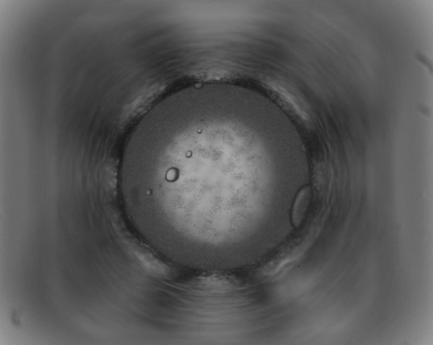 X0000092040545200709121155