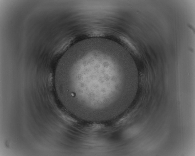 X0000092040549200709121155