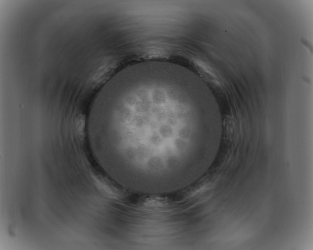 X0000092040550200709121155