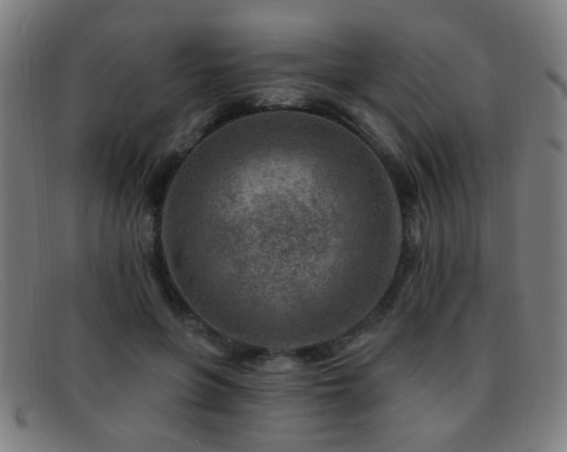 X0000092040551200709121155