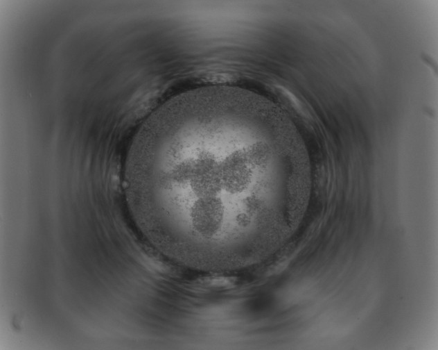 X0000092040553200709121155