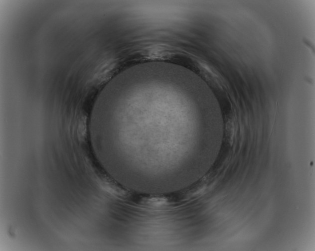 X0000092040554200709121155