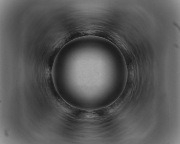 X0000092040555200709121155