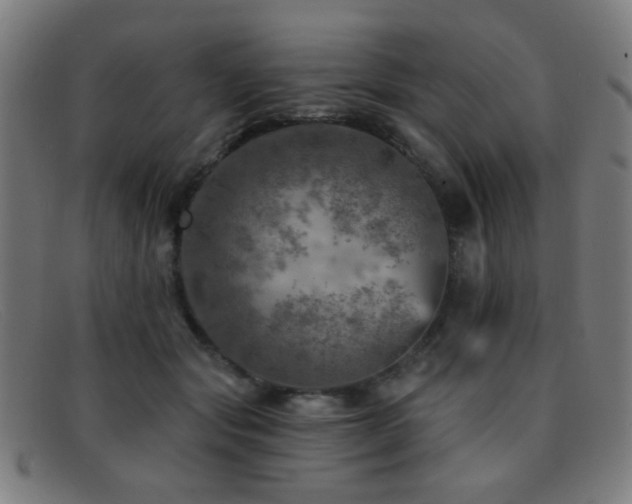 X0000092040557200709121155