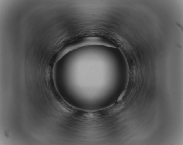 X0000092040558200709121155