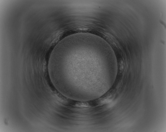 X0000092040559200709121155