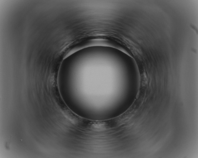 X0000092040560200709121155