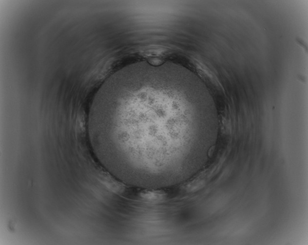 X0000092040561200709121155