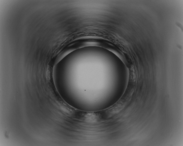 X0000092040562200709121155