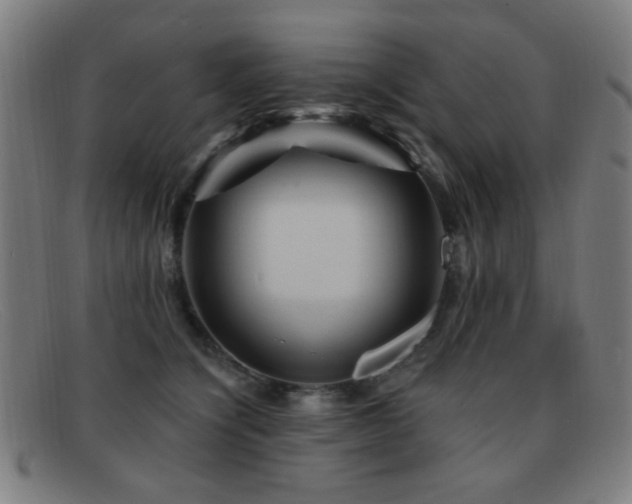 X0000092040564200709121155