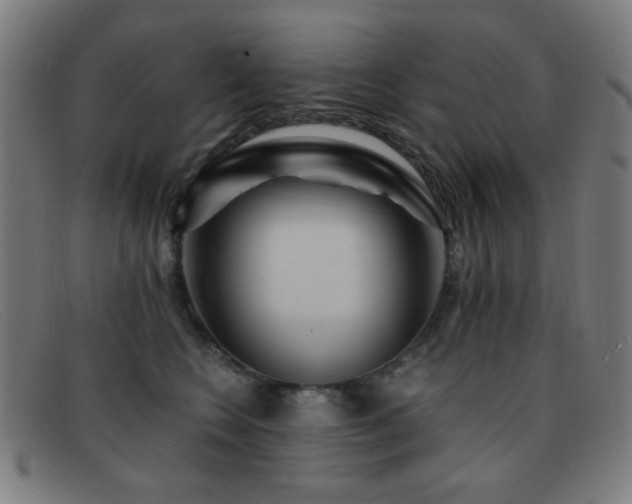 X0000092040566200709121155