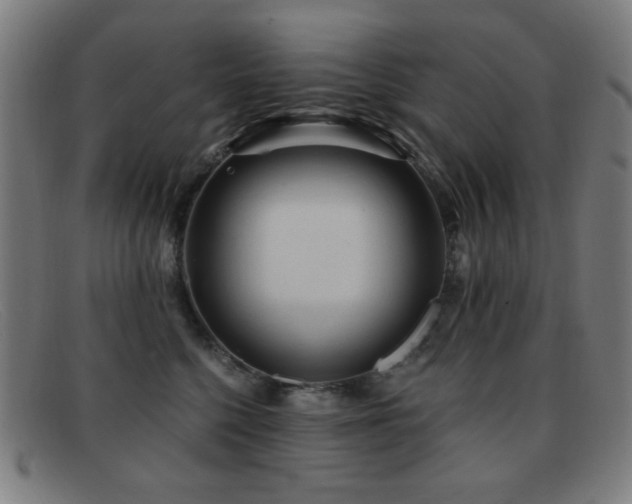 X0000092040568200709121155