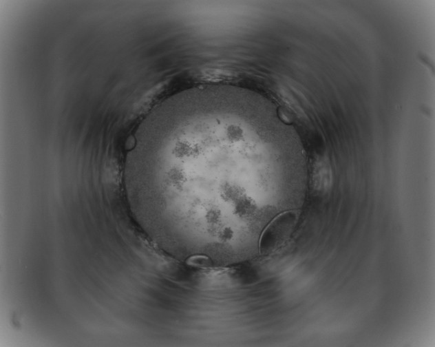 X0000092040569200709121155