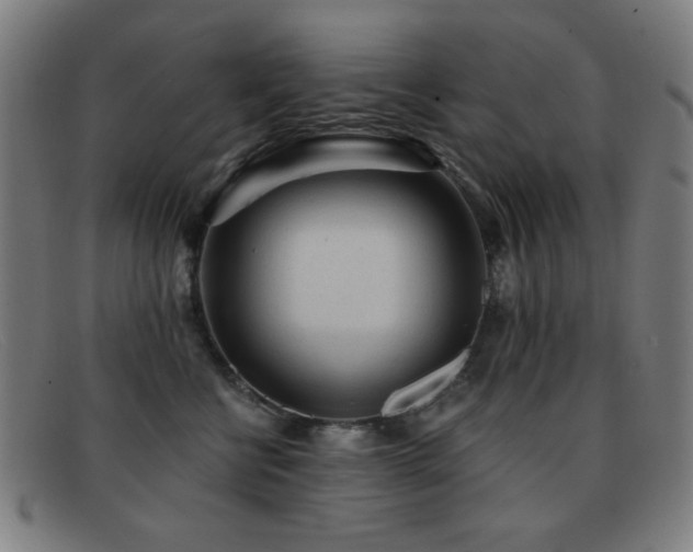 X0000092040570200709121155