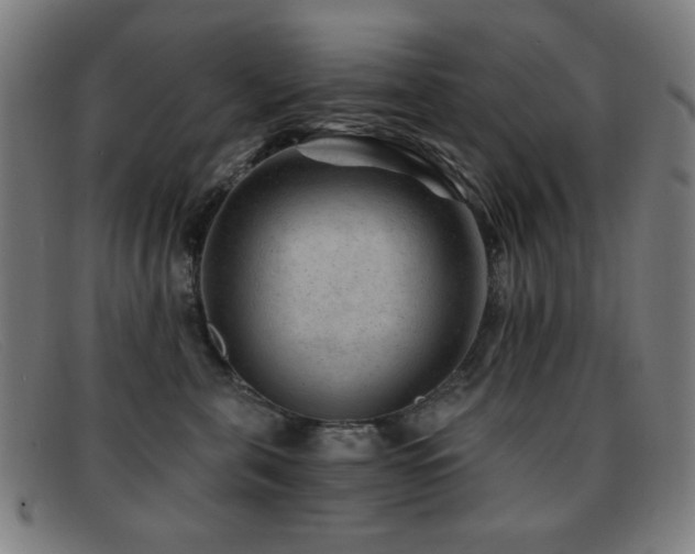 X0000092040571200709121155