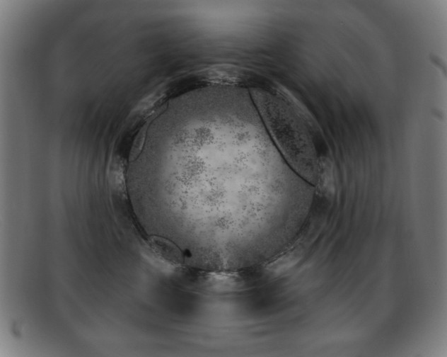 X0000092040573200709121155