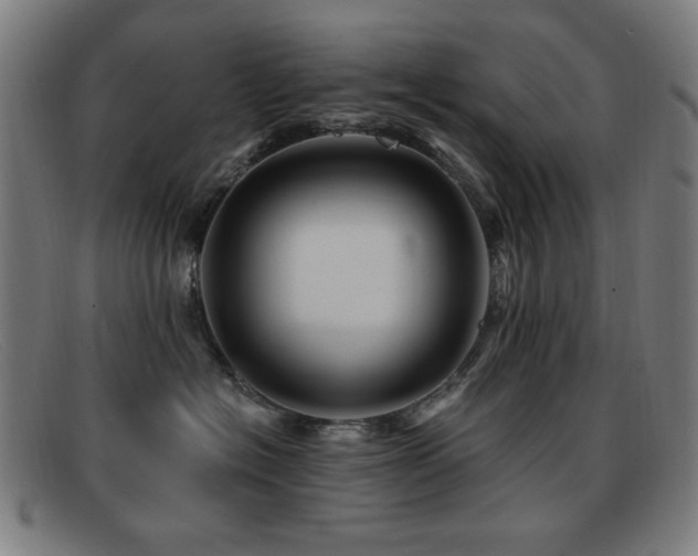 X0000092040574200709121155