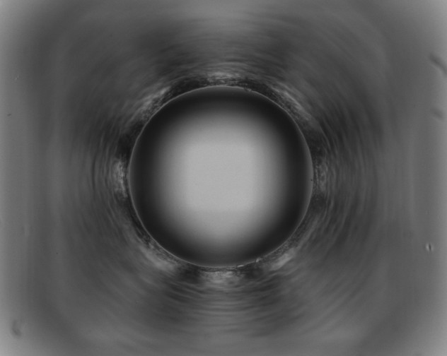 X0000092040575200709121155