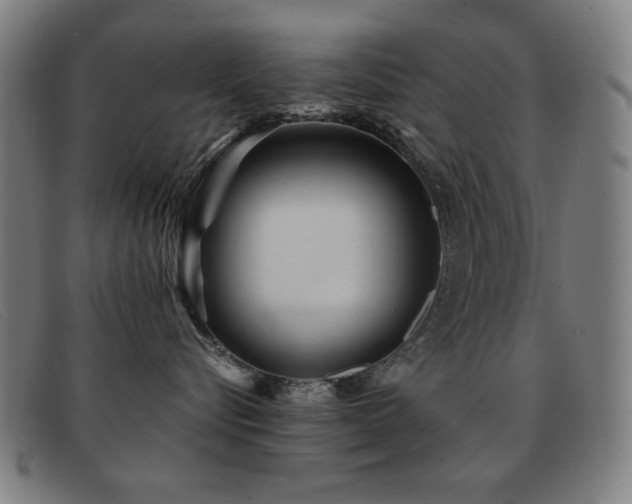 X0000092040576200709121155