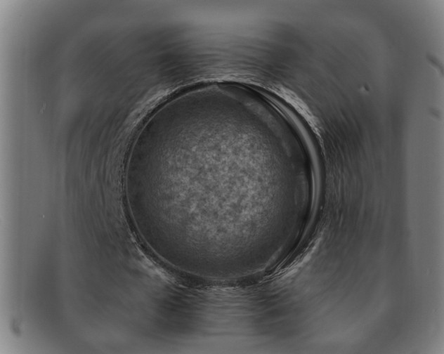 X0000092040577200709121155