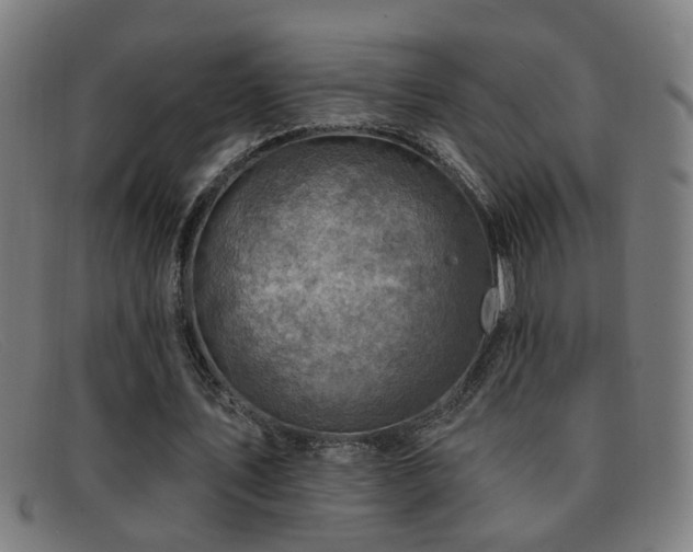 X0000092040579200709121155