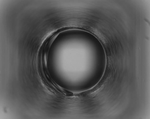 X0000092040580200709121155