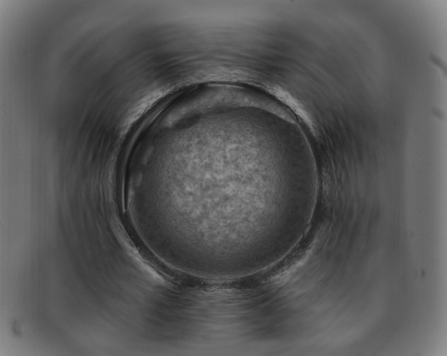 X0000092040581200709121155