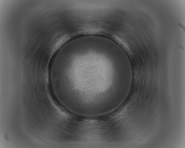 X0000092040582200709121155