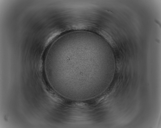 X0000092040583200709121155