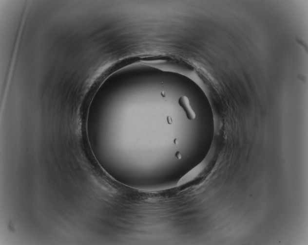 X0000092040584200709121155