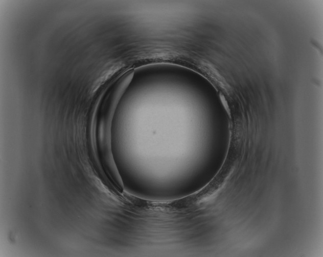 X0000092040585200709121155