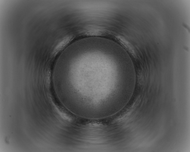 X0000092040586200709121155