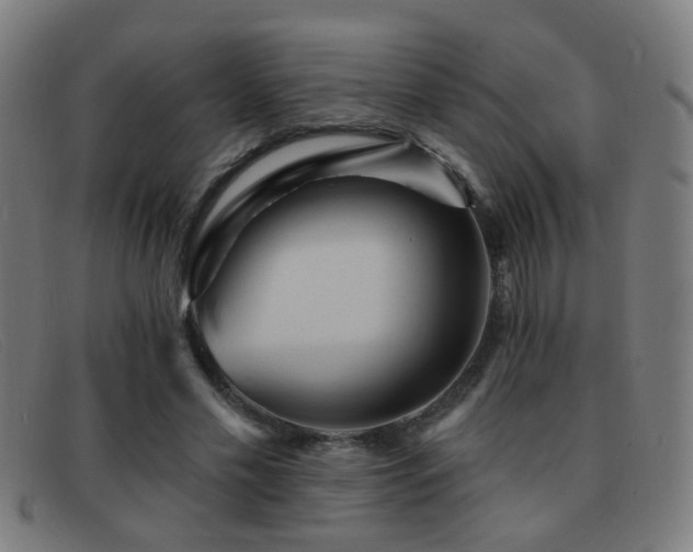 X0000092040589200709121155