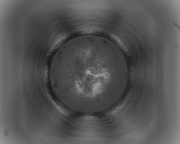 X0000092040590200709121155