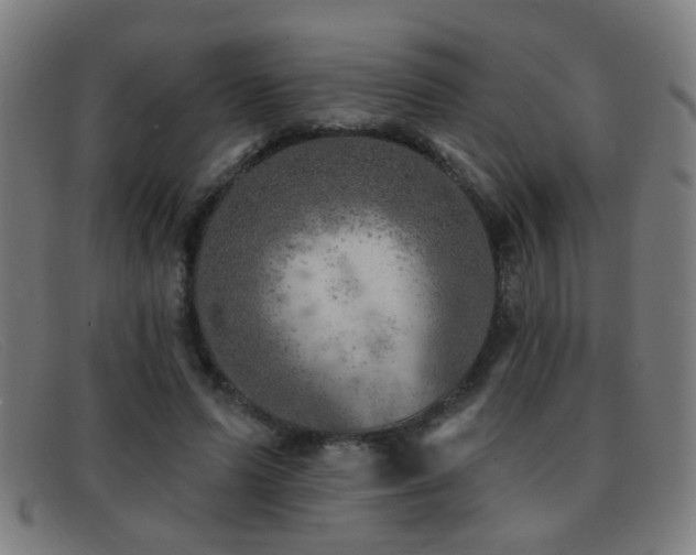 X0000092040591200709121155