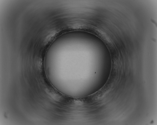 X0000092040592200709121155