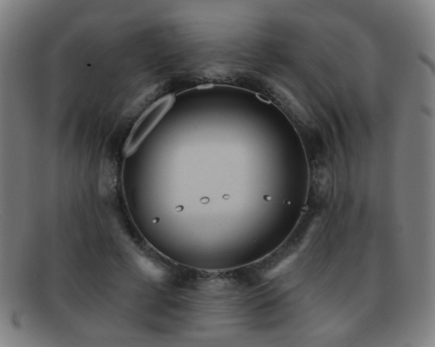 X0000092040593200709121155