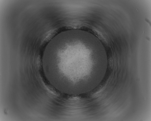 X0000092040594200709121155