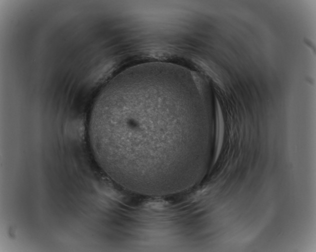 X0000092040595200709121155